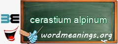 WordMeaning blackboard for cerastium alpinum